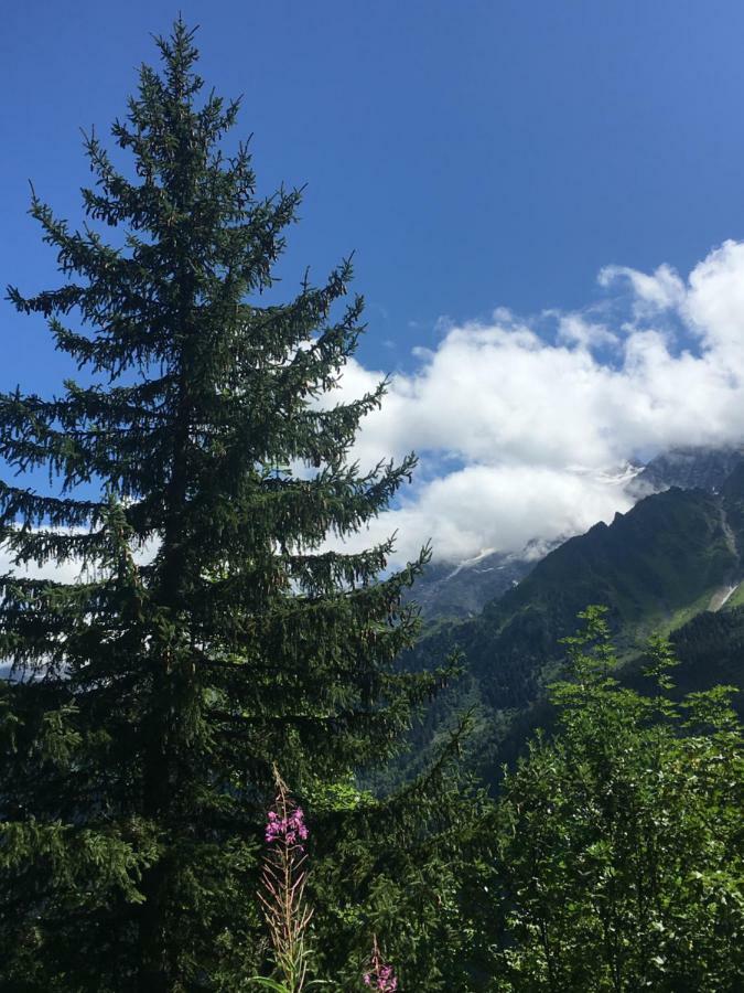 Apartmán Les Pierres Blanches Mont Blanc Les Contamines-Montjoie Exteriér fotografie